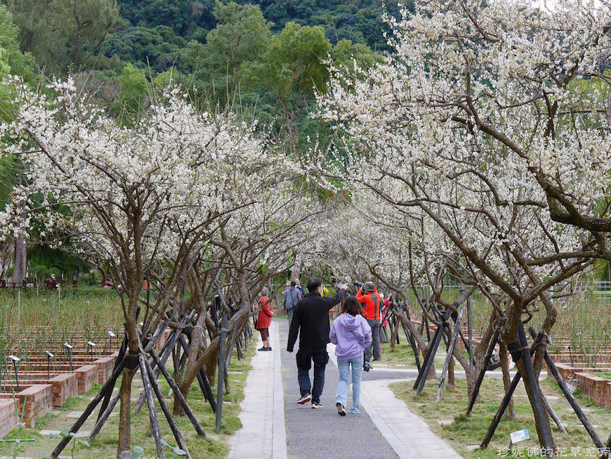 台北｜士林官邸公園