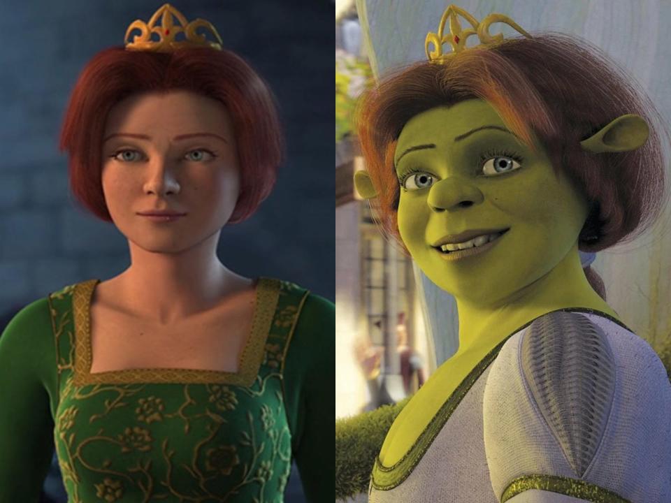 shrek makeover