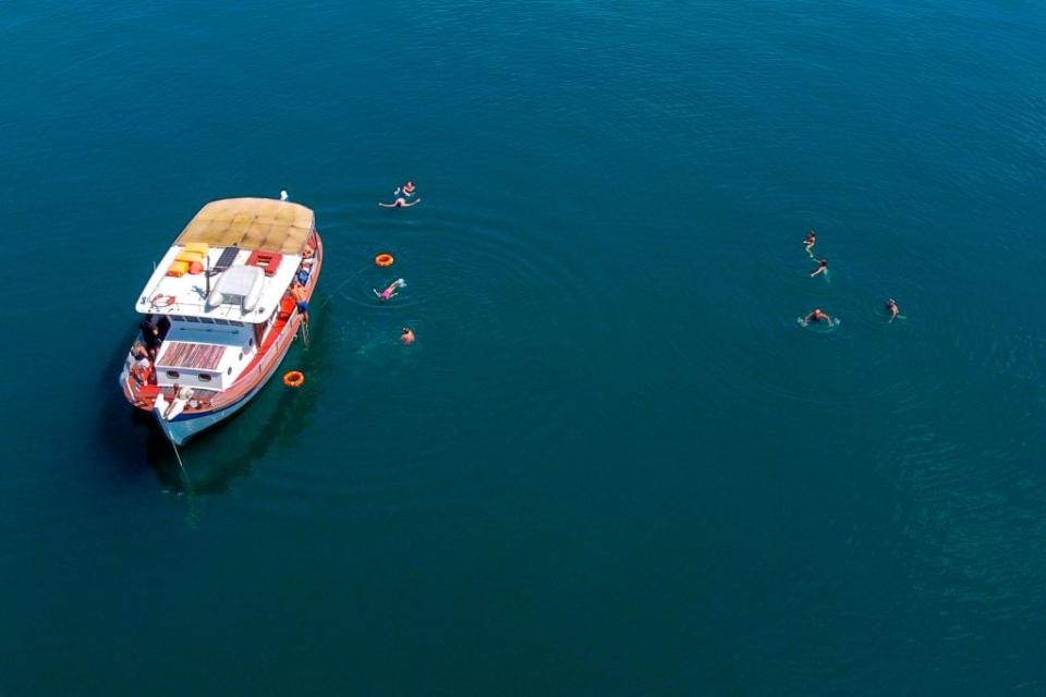 A dolphin spotting boat tour - getty