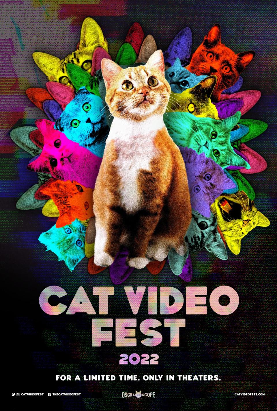 A promotional image of CatVideoFest 2022.