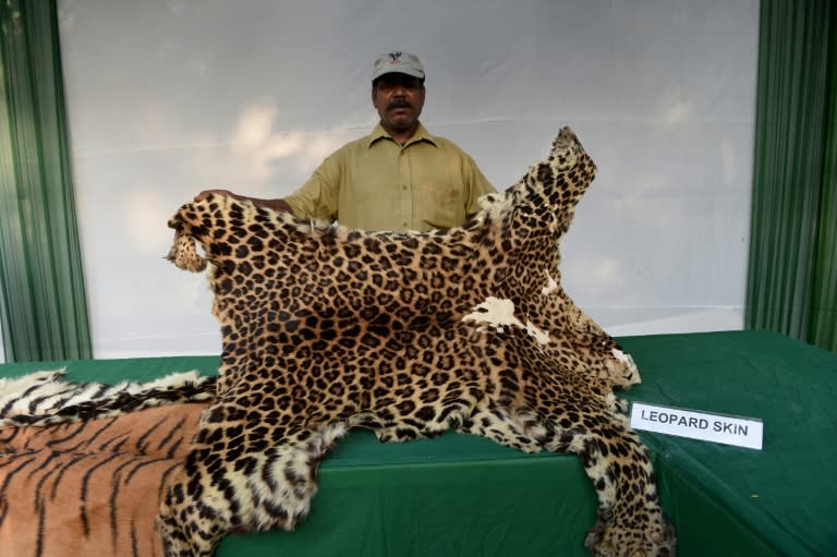 An Indian worker holds up a leopard skin, one of the many items being sold illegally online, in 2014