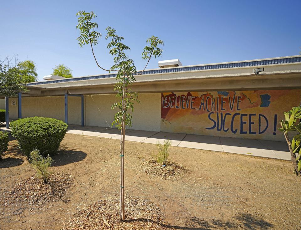 One of the trees planted to provide a canopy of shade at the campus of Bethune Elementary School in Phoenix on May 11, 2023.