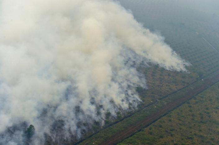 Indonesia is punishing more than 20 companies in an unprecedented move for starting deadly forest fires that killed 19 people, a government official said on December 22 (AFP Photo/Adek Berry)