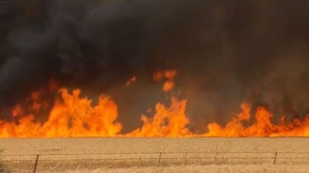 Firefighters spent all night trying to battle the raging bushfires which have killed at least two people. Photo: 7 News