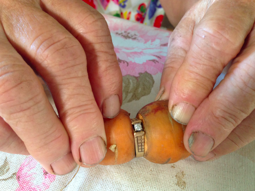 <em>The ring was found embedded on the carrot in the garden (Twitter/@SarahNKraus)</em>