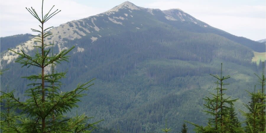 Dovbushanka - Nature reserve of Gorgana