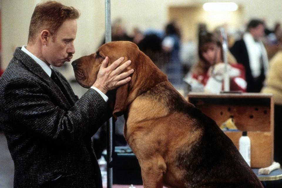 Every Dog in 'Best in Show'