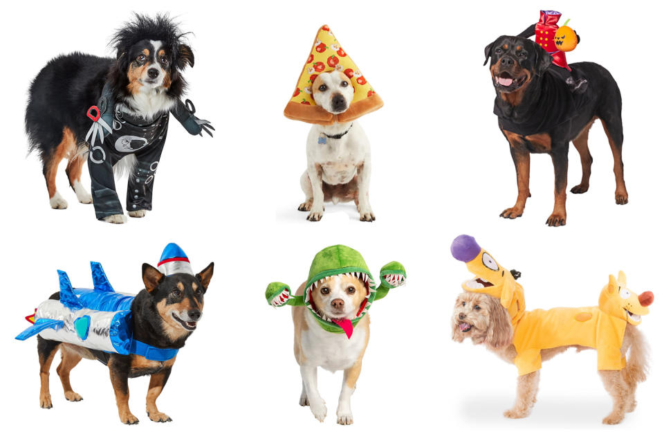 25 Halloween Costumes for Dogs that Will Have Trick-or-Treaters Howling with Joy