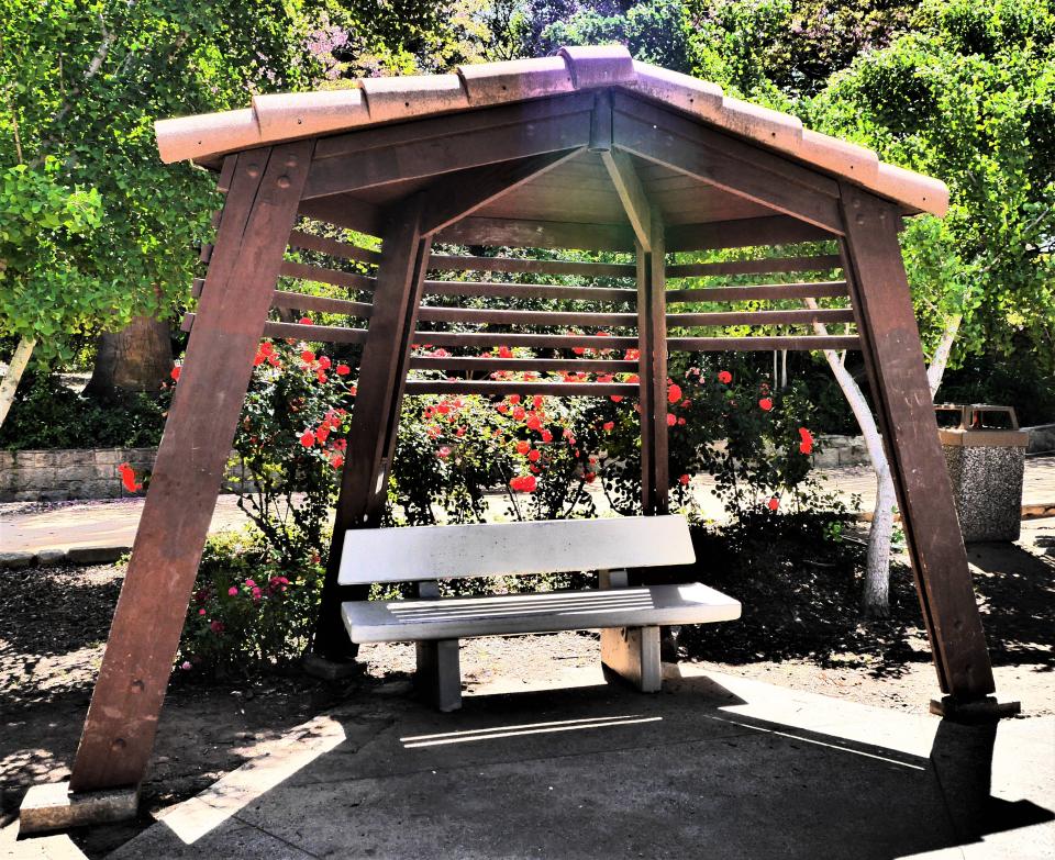 Resting bench at Prospect Park