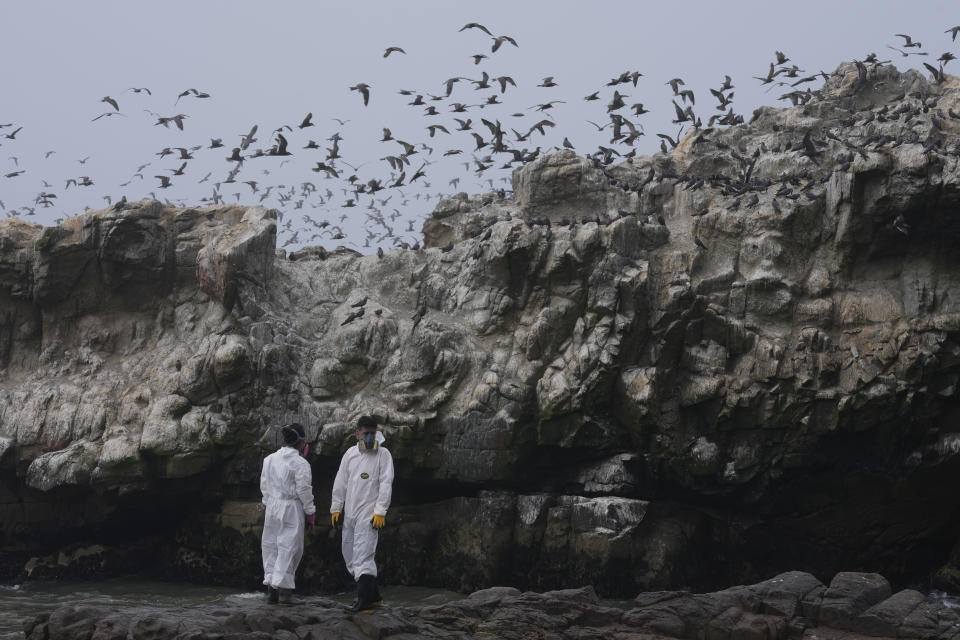 FILE - Workers clean oil from Cavero Beach in the Ventanilla district of Callao, Peru, Friday, Jan. 21, 2022. The U.N. health agency said Monday, April 4, 2022, nearly everybody in the world breathes air that doesn’t meet its standards for air quality, calling for more action to reduce fossil-fuel use, which generates pollutants that cause respiratory and blood-flow problems and lead to millions of preventable deaths each year. (AP Photo/Martin Mejia, File)