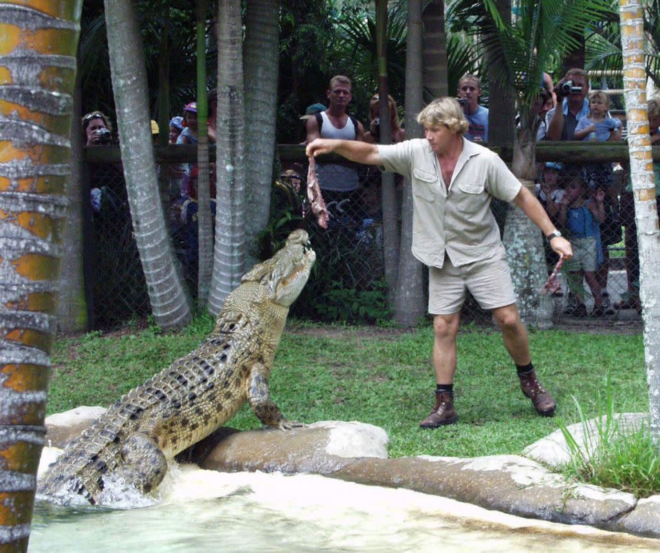 Crocodile Hunter Steve Irwin demonstrates his crocodile skills at the Australia Zoo on the Sunshine Coast. Photo: AAP