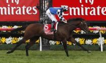 Ryan Moore crosses the finish line on Protectionist to win the Melbourne Cup at Flemington Racecourse, November 4, 2014. REUTERS/Brandon Malone