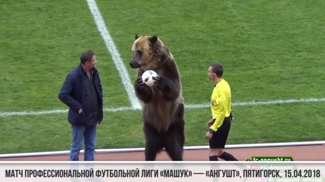 A trained bear did tricks to open a Russian third league soccer match. (Youtube)