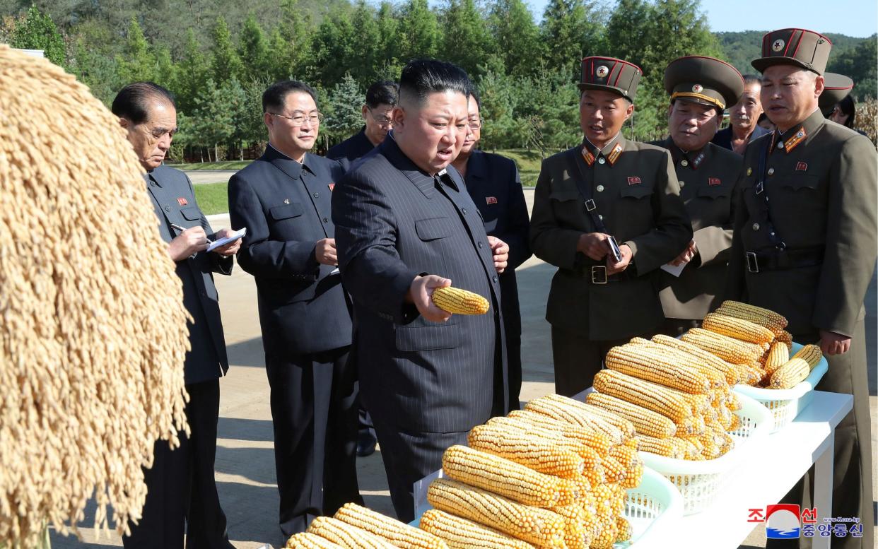 North Korean leader Kim Jong Un visits Farm No. 1116 in 2019. Food is now increasingly scarce in the isolated country - KCNA/Reuters