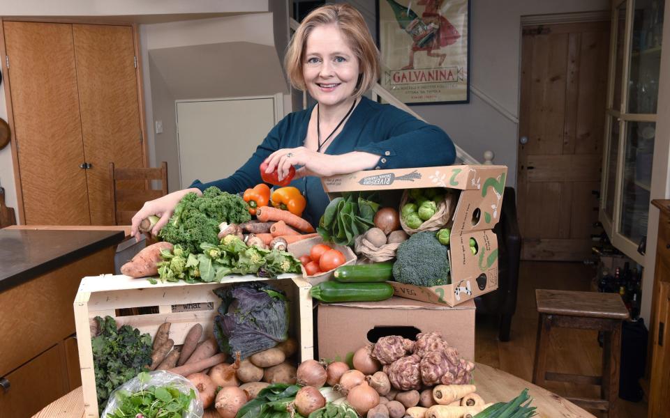 The Great British Box Off: which veg box is best for quality and value?