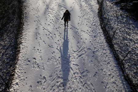 A woman walks in a snow covered path at Central Park in New York, U.S., January 6, 2017. REUTERS/Shannon Stapleton