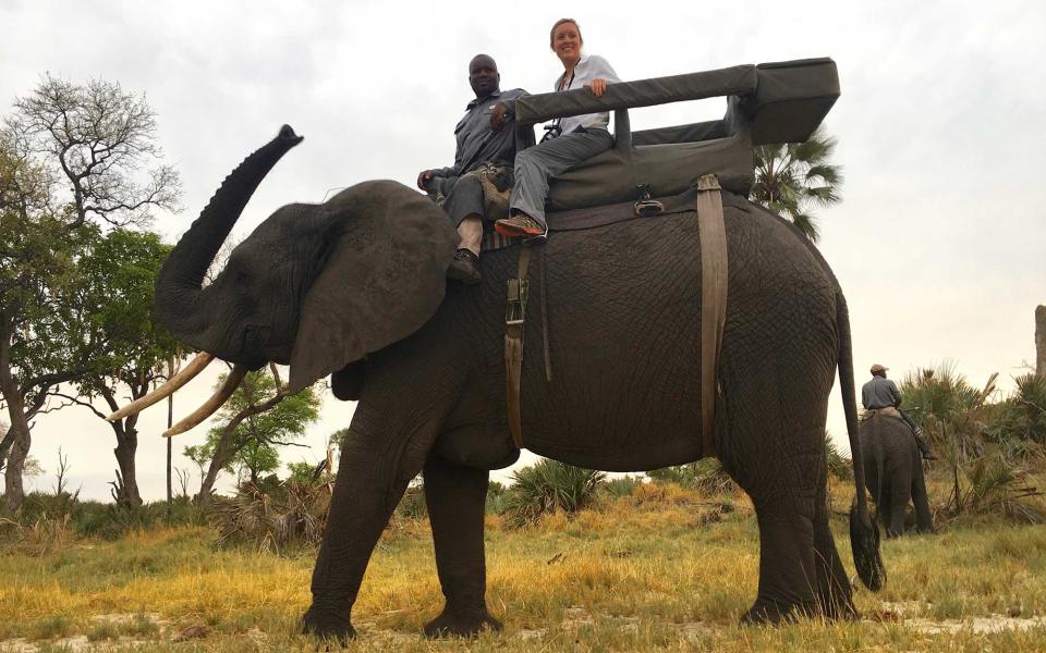 <p>At Abu, guests partake in twice-daily elephant drives, where they can walk alongside the herd or ride one of two older females, Cathy and Shireni (pictured). The experience is relaxing, and the elephants are surprisingly quiet as they move through the bush. Elephant-back safaris are a rarity in Africa; being in close proximity to these animals was not only awe-inspiring but also incredibly informative, as the mahouts are eager to share their hard-won elephant intelligence. (Did you know you can tell if an elephant is right-or left-handed by observing which tusk is longer?)</p>