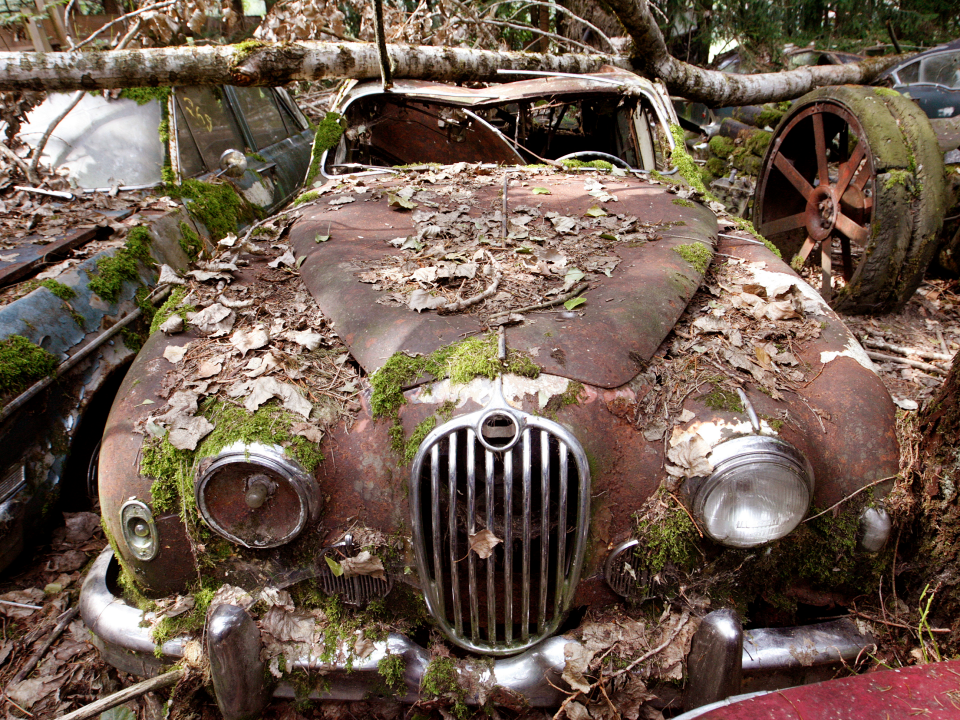 rusted abandoned car