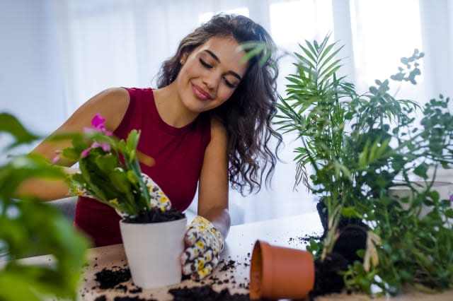 Lovely housewife with flower in pot and gardening set