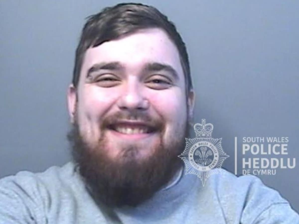 Stephen Hill, 23, punched his partner in the face. (Wales News)