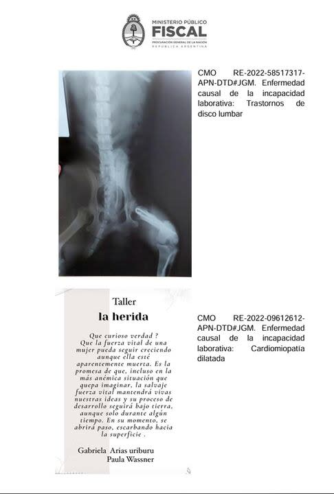 La radiografía de un perro y un poema, los documentos adjuntados a certificados médicos para acreditar invalidez laboral en una denuncia tramitada por la Fiscalía Nacional en lo Criminal y Correccional Federal Nº 9