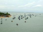 An array of fishing boats seen from the bridge.