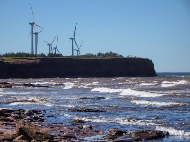 Weather stations at North Cape and East Point are due for repairs, but maintenance work has been postponed.  (Jane Robertson/CBC - image credit)