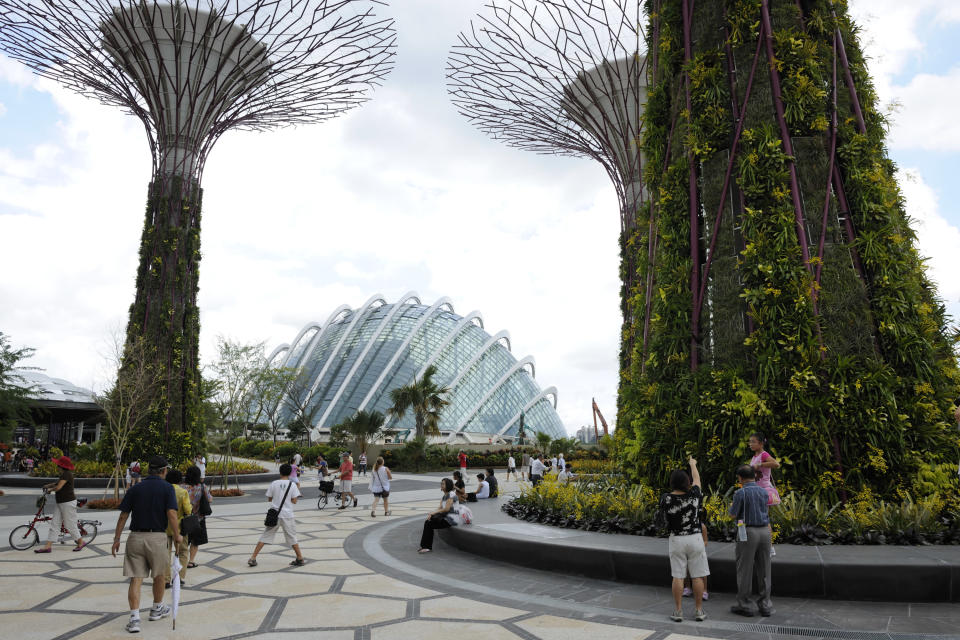 Supertrees (Photo: Gardens by the Bay)