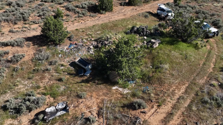 <em>A woman who runs a Utah pet cremation company became overwhelmed and then allegedly dumped dozens of the animals in 1st Call Pet Cremation’s care alongside trash, Sgt. Lucas Alfred with the Washington County Sheriff’s Office said. (KLAS)</em>
