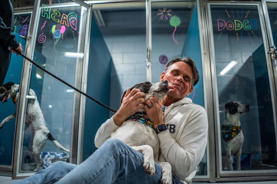 Macomb County Executive Mark Hackel reacts after being licked by Dash before he is put back into his cage after celebrating the dog's first birthday along with his five other brothers and sisters during a birthday PAW-ty in their honor at the Macomb County Animal Control in Clinton Township on Wednesday, Jan. 17, 2024. The puppies were born at an Oakland County rescue and were 10 weeks old when they arrived at Macomb County Animal Control having grown up there while waiting for their case in court where criminal charges were filed against the rescue owner, who refused to take them back.