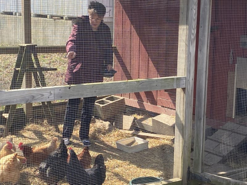 Grace Dowell, 63, feeds chickens at her home in Sunderland