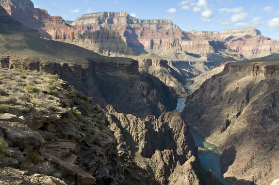 Grand Canyon viewed from the Tonto Trail