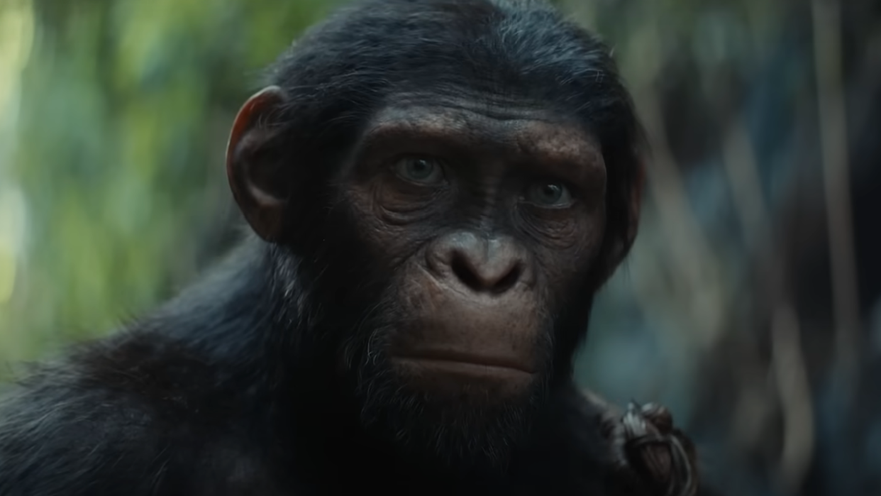  Noa in Kingdom of the Planet of the Apes. 