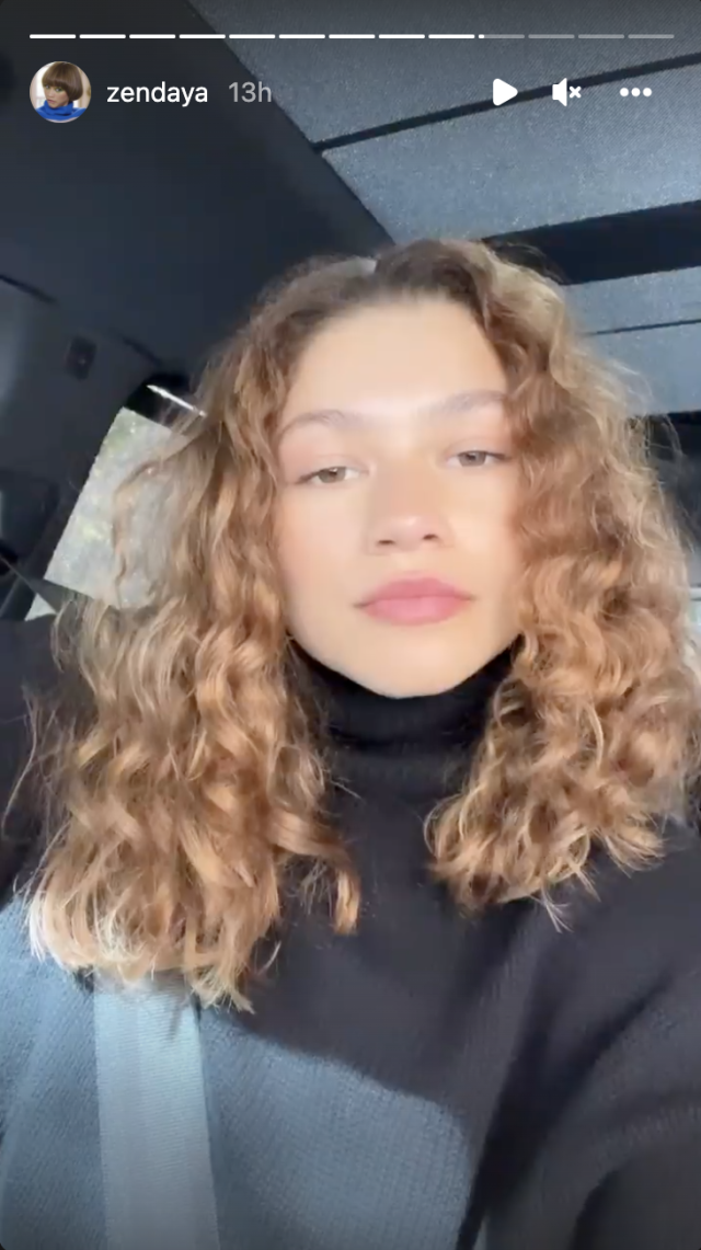 Zendaya Celebrated The End Of 'Euphoria' With Newly Dyed Honey Blonde Curls