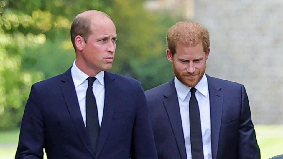 PHOTO: In this Sept. 10, 2022 file photo, Prince William and Prince Harry are seen on the long Walk at Windsor Castle, in Windsor, England.  (Chris Jackson/POOL/AFP via Getty Images, FILE)