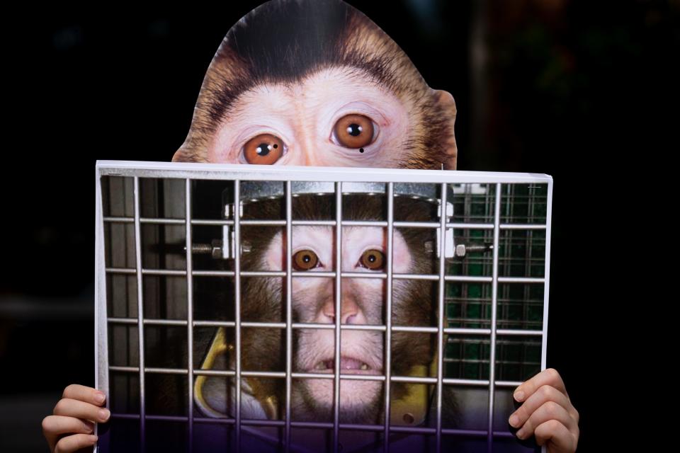 A protester holds a sign during a PETA demonstration against the Mesa monkey farm operated by the University of Washington, Oct. 8, 2021, in front of the Arizona Department of Environmental Quality building located at 1110 W Washington Street, Phoenix.