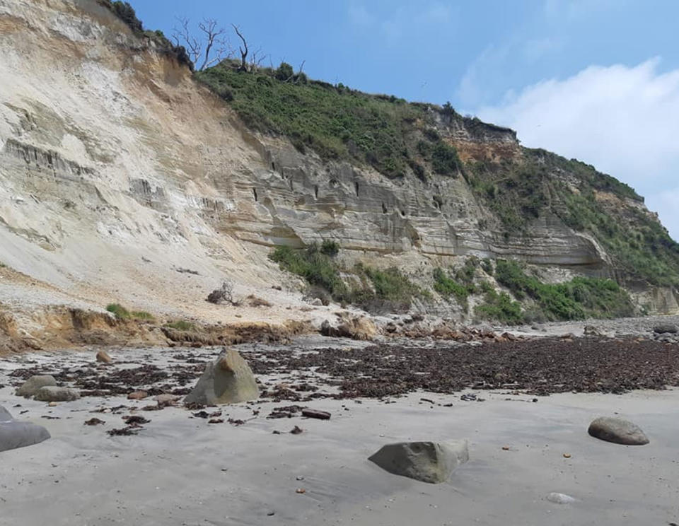 Human remains found on New Zealand beach after landslide