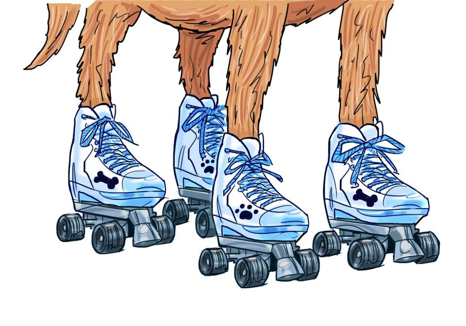 <p>We’ve seen dogs skateboard, but five Argos customers wanted to purchase roller skates especially made for paws. </p>