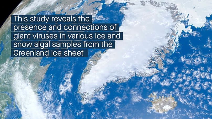 Vista de la capa de hielo de Groenlandia del artículo de la revista Microbiome, de Perini et al.