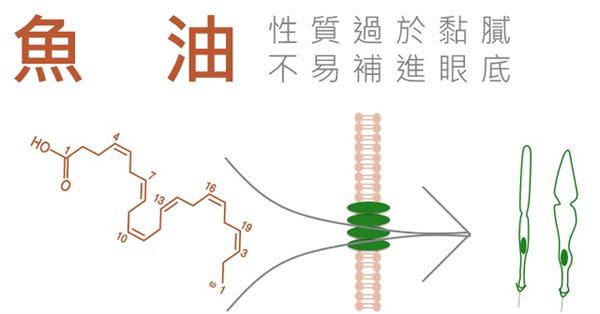 吃葉黃素、枸杞就對了？中醫師神解8大護眼食品