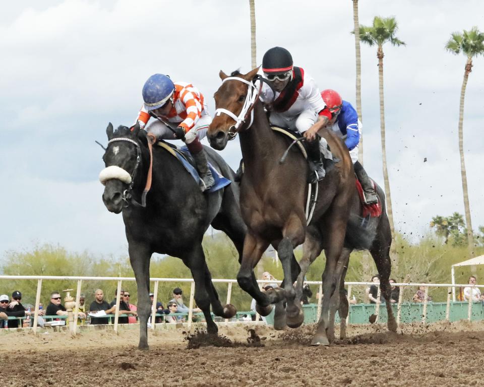 Una Palabra, right, ships in from Turf Paradise in Arizona, to run in the Sunland Oaks.