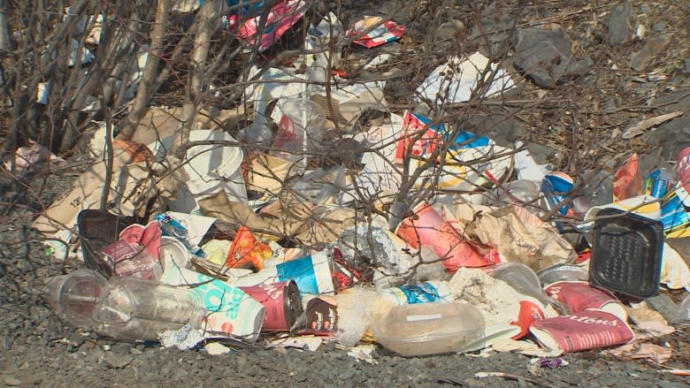 Councillor says it's time to consider more garbage cans in HRM