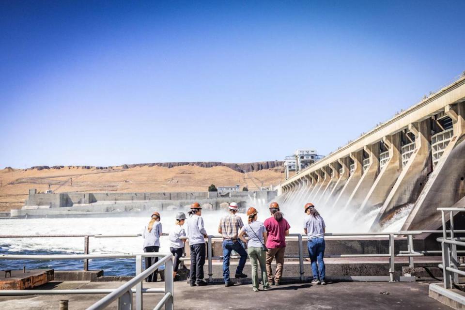 A trip to McNary Dam, along with other field trips and discussions with PNNL experts about renewable energy, energy equity and technology were on the docket for students participating in the Pathway Summer School for the Department of Energy’s Reaching a New Energy Sciences Workforce initiative.