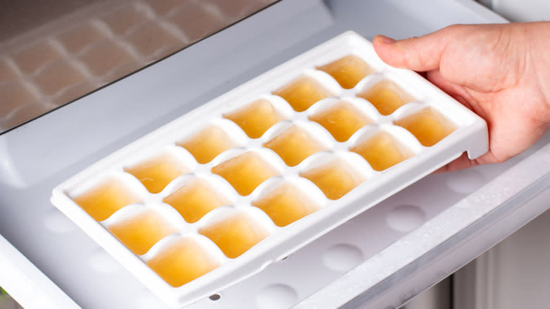 ice cube tray with orange liquid