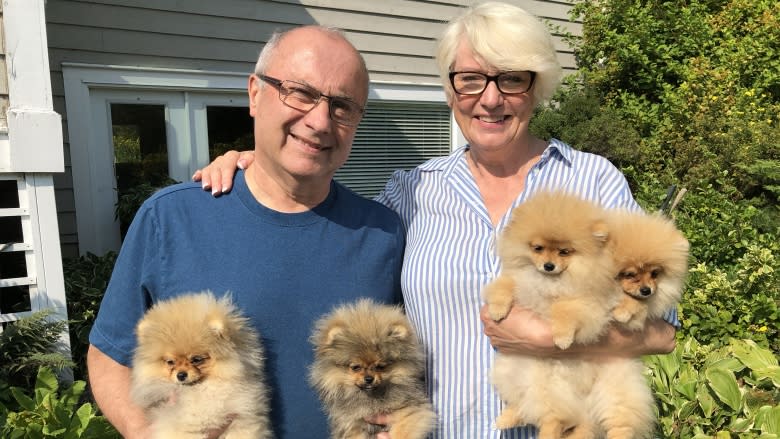 'Who kicked the dogs out?': Colchester County dog kennel bylaw proposal protested