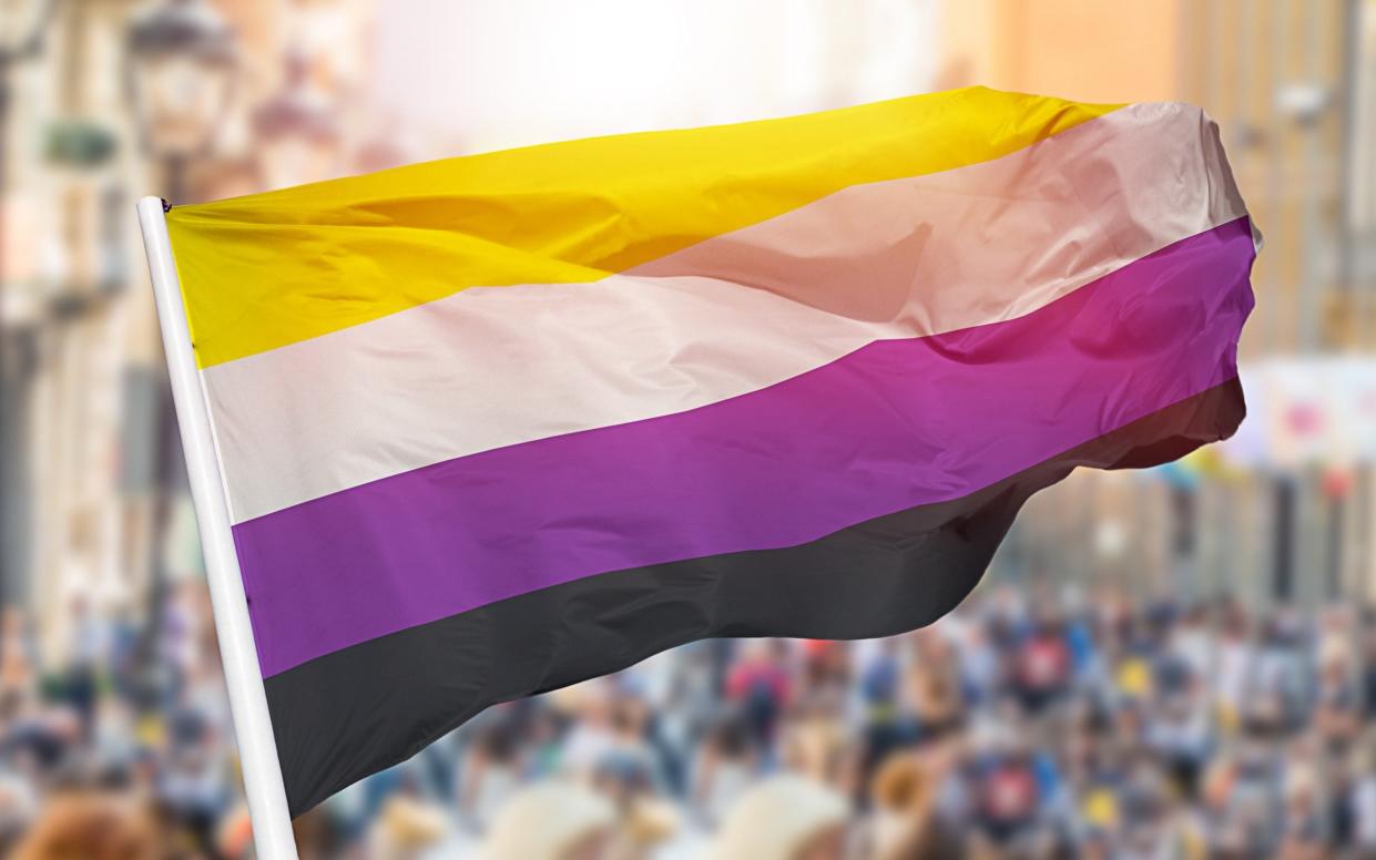 iStockphoto - Cunaplus_M.Faba/Non-binary flag