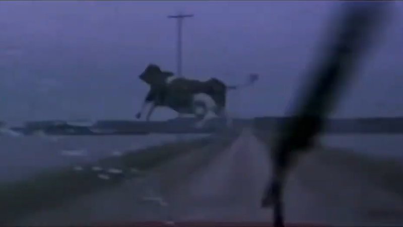 A flying cow in Twister