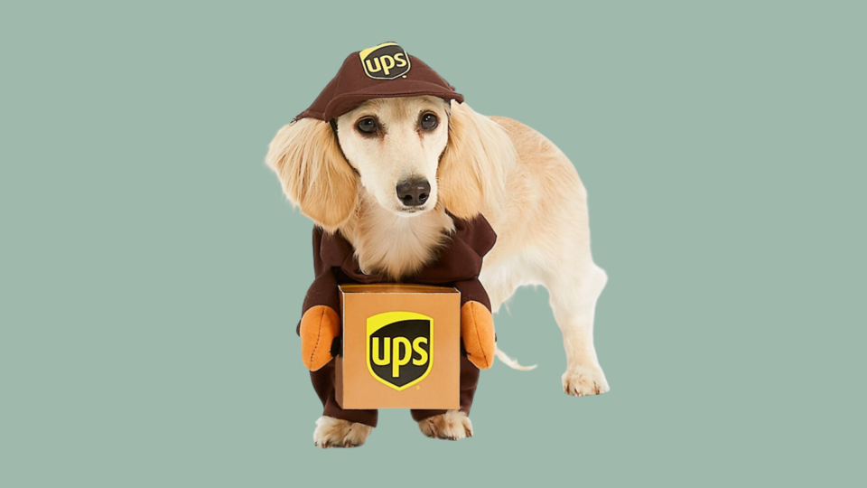 Popular Dog Costumes: California Costumes UPS Delivery Driver Costume