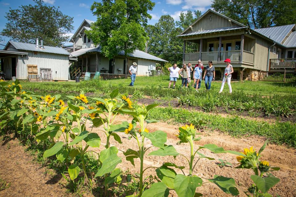 Visitors tour Gentle Harmony Farm in the Yadkin College community in 2019, The farm owners grow USDA certified medicinal herbs. The farm will be part of the 2022 Davidson County Farm Tour. Tickets must be purchased to tour 10 Davidson County farms on June 18.