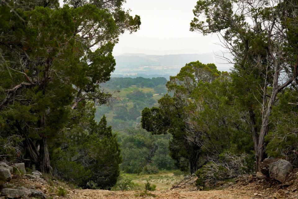 Preserving RGK Ranch protects habitat for the endangered golden-cheeked warbler and other wildlife. It also prevents thirsty development in an already sensitive ecological area.